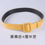 Foreign trade non-porous thin belt ladies all-match simple girdle Korean fashion decorative cloth belt green wide belt