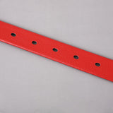 Stall source of goods 2.5cm women's plastic injection needle buckle belt fashion simple trend manufacturers wholesale in stock