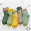 Flat number 19 children's socks / 8个月-2岁（脚长9-12cm）