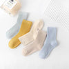 Boys【combed cotton】 / 【1-4 years old】recommended shoe size 16-22