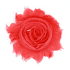 Watermelon red