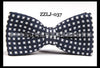Zzlj-037