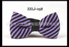 Zzlj-058
