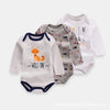 Gray fox / 3m,6m,9m,12m