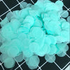 2.5cm mint green 1kg