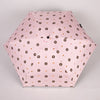 Pink bear