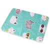 Silly kitten 50*70cm / 50*70cm