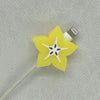 Carambola (unpackaged)
