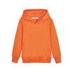 Orange / s