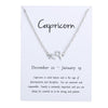 Capricorn silver card silver chain