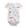 Short ha tiger lion / 3m(52cm)