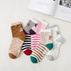 Cartoon cat with 5 colors / nude socks with 5 colors