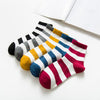 Wide strip with 5 colors / nude socks with 5 colors
