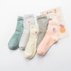 Cat 5 colors are evenly matched / nude socks with 5 colors