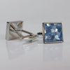 Square blue shellfish 900792