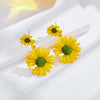 M169 [yellow long daisy]