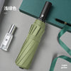 Matcha green / 12 bone automatic plain color