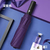 Purple / 12 bone automatic plain color