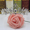 Silver crown