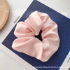 Pink solid color large intestine loop