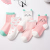 Spring and autumn orange kitten / 0-1 years old (recommended foot length 7-10cm)