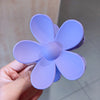 Kx010501# purple
