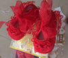 Princess shoes red / 11 yards inner length 10.5cm