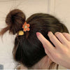 Sunflower orange