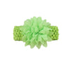 Fruit green