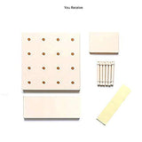 SYGA Plastic Wall Shelf Hole Plate Storage Organizer (Beige)