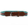 Orange red purple between double blue / 60-80 cm