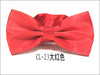 Cl-23大红色