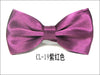 Cl-19紫红色