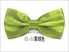 Cl-31 grass green