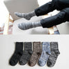 608 five pairs / one size fits all