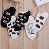 Black and white cat / one size fits all