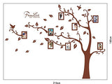Syga Brown Photo Frame Wall Stickers A_YSE