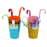 Syga Iron Hanging Planter Pot, Multicolour, 10x8 cm, 10 Pieces