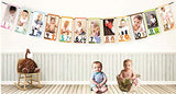 SYGA 1 to 12 Month Animal Photo Banner for Your Baby with Front Side Photo Space & Sweet Memory Writing Space Back Side of Banner
