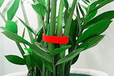 SYGA Nylon Double Sided Wellkro Tape, Hook and Lock Tape, Sew-on Power Wire Management Fastening Tape Cable Tie for Interlocking, Apparel, Home Textile, Industrial Use and More- 5 m x 15 mm (Red)