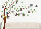 Syga Photo Frame Tree Decals Design Wall Stickers - (Brown) 2 Pieces