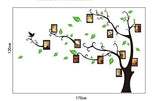 Aroma Shop Trees with photo frames wallsticker AY803B