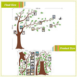 Syga Photo Frame Tree Decals Design Wall Stickers - (Brown) 2 Pieces