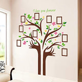 SYGA Brown Photo Frame Tree PVC Vinyl Wall Sticker