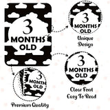 Syga Baby Milestone Cards - Set Of 27
