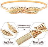 SYGA Women Metal Buckle & Tassels Stretchy Skinny Belt, (Pack of 1)