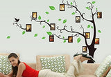 Aroma Shop Trees with photo frames wallsticker AY803B
