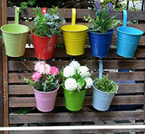 Syga Iron Hanging Planter Pot, Multicolour, 10x8 cm, 10 Pieces