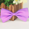 19 light purple