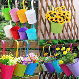 Syga Iron Hanging Planter Pot, Multicolour, 10x8 CM, 10 Pieces